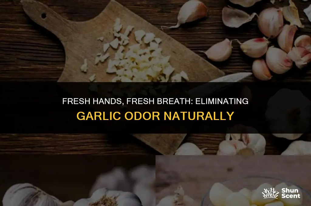 how to get rid of garlic odor on hands