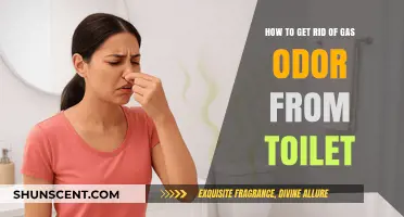 Freshen Up Your Bathroom: Eliminating Embarrassing Toilet Odors