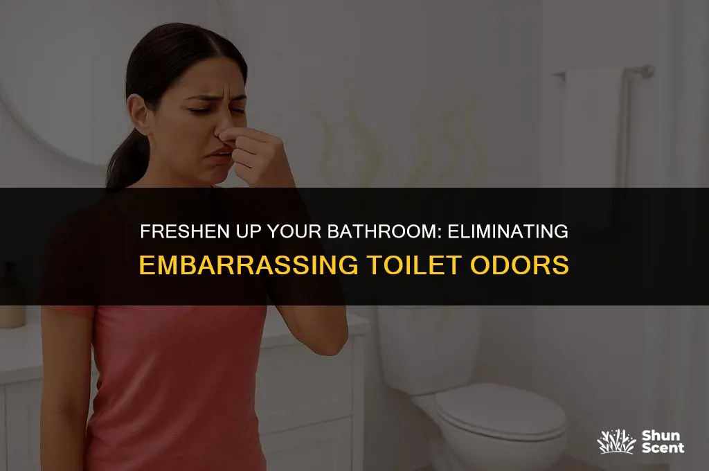 how to get rid of gas odor from toilet