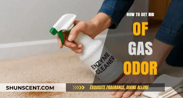 Freshen Up Your Space: Effective Ways to Eliminate Gas Odor