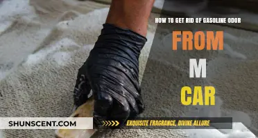Eliminate Gasoline Odor from Your Car: A Comprehensive Guide