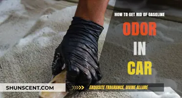 Eliminate Gasoline Odor in Your Car: A Comprehensive Guide