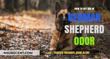 Freshen Up Your Home: Eliminating German Shepherd Odors