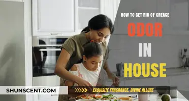 Banish Grease Odors: A Comprehensive Guide to a Fresh-Smelling Home