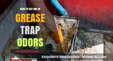 Effective Solutions to Eliminate Grease Trap Odors