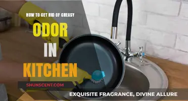 Freshen Up Your Kitchen: Say Goodbye to Greasy Odors
