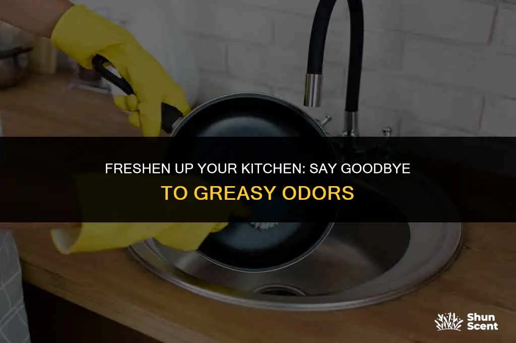 how to get rid of greasy odor in kitchen