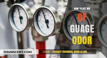 Freshen Up Your Ride: A Guide to Eliminating Gauge Odor