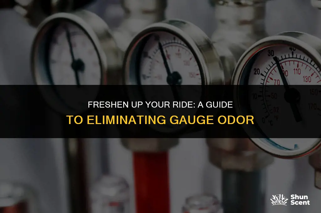 how to get rid of guage odor