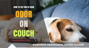 Freshen Up Your Space: Eliminating Hair Odor from Your Couch
