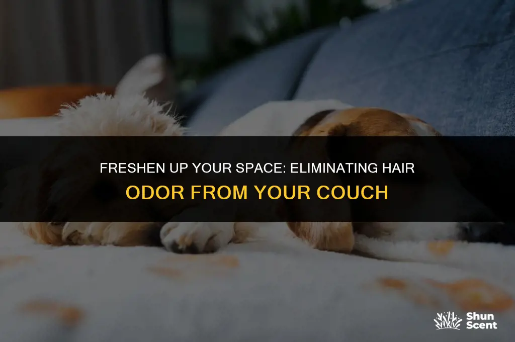 how to get rid of hair odor on couch
