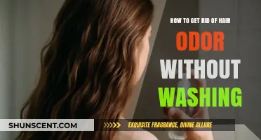 Freshen Up Your Locks: Tips to Eliminate Hair Odor Without Washing