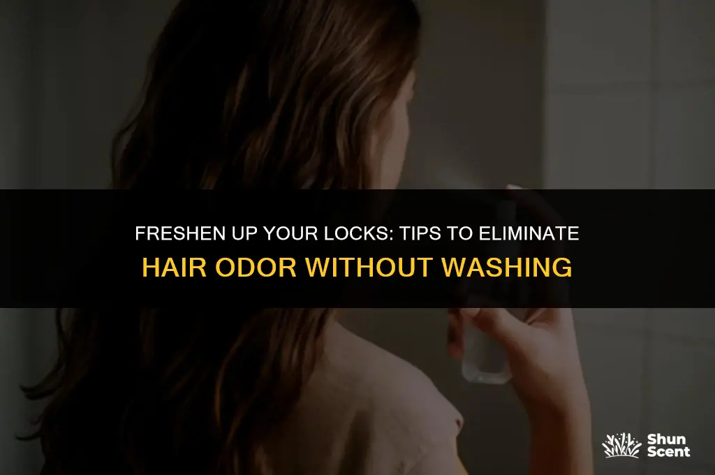 how to get rid of hair odor without washing