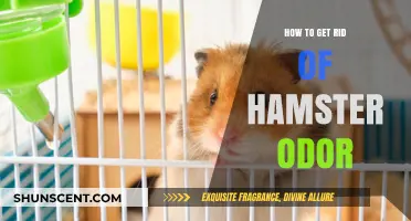 Freshen Up Your Hamster Habitat: A Guide to Odor Control