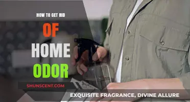 Freshen Up Your Space: Effective Tips to Eliminate Home Odors