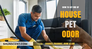 Freshen Up Your Home: A Guide to Eliminating Pet Odors