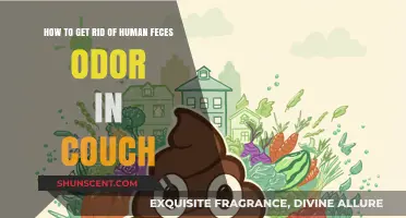 Eliminating Human Feces Odor from Your Couch: A Comprehensive Guide
