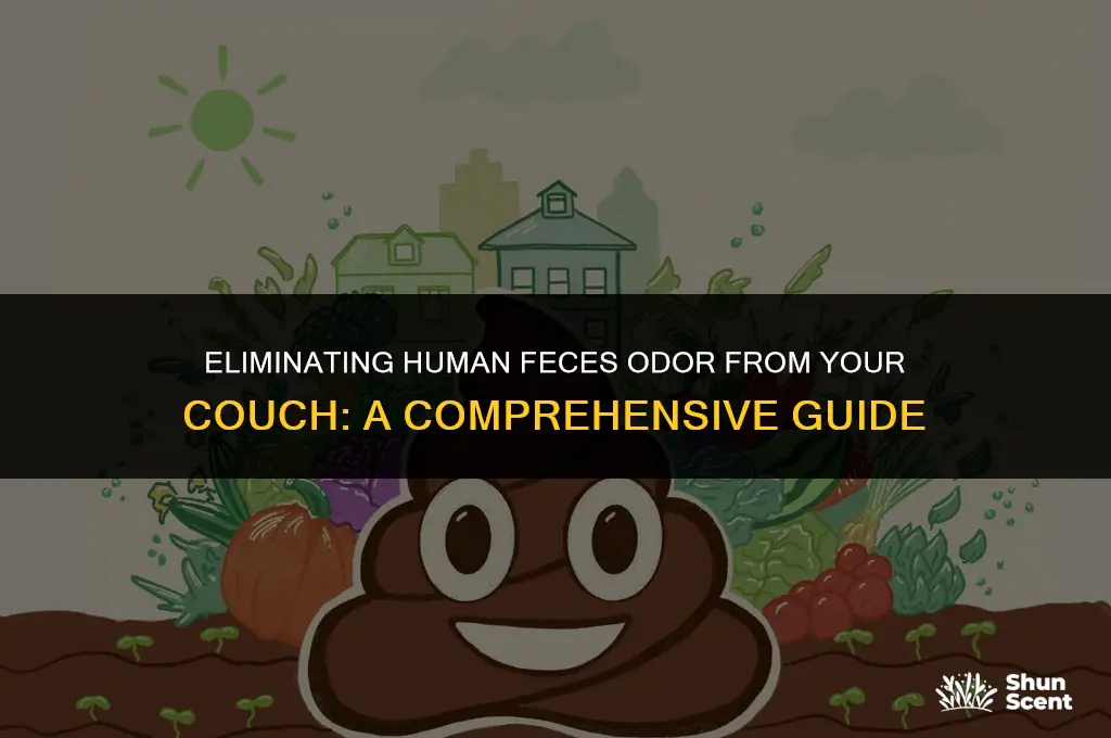 how to get rid of human feces odor in couch