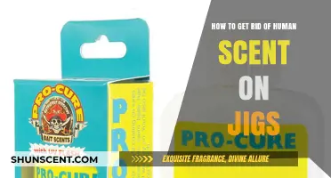 Eliminate Human Scent on Jigs: Proven Techniques for Stealthy Fishing Success