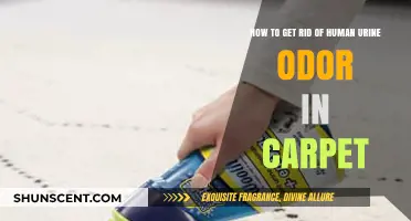 Effective Methods to Eliminate Human Urine Odor from Carpets