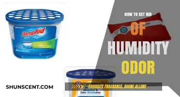 Banish Humidity Odors: A Comprehensive Guide to Freshening Your Space