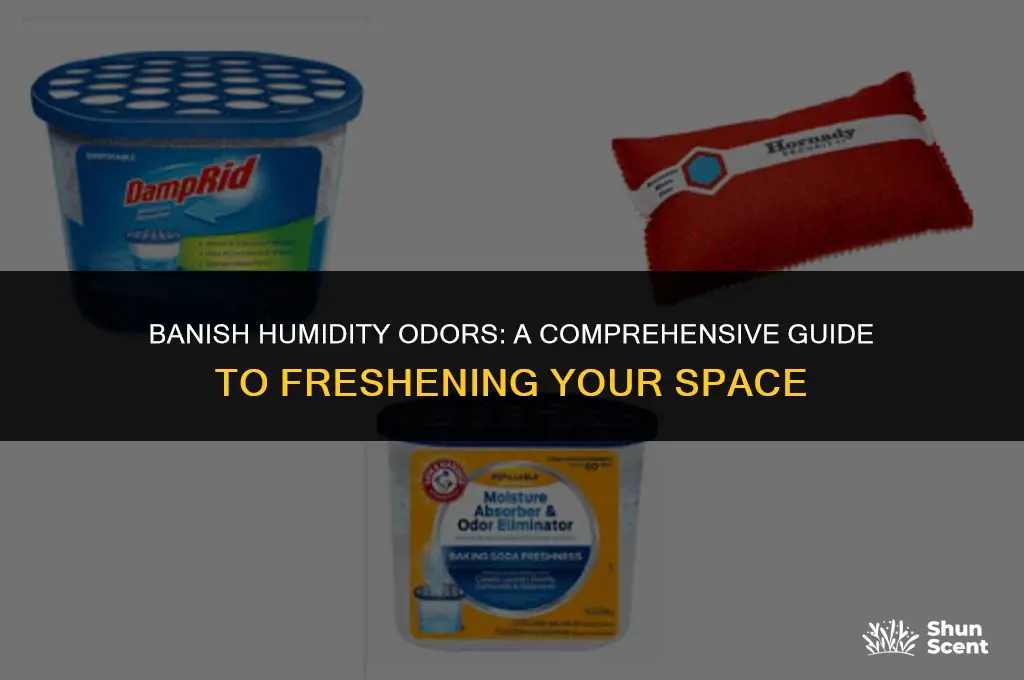 how to get rid of humidity odor