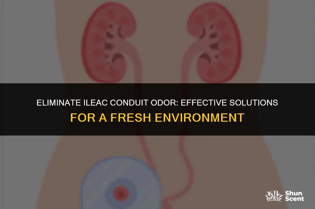 how to get rid of ilealc conduit odor