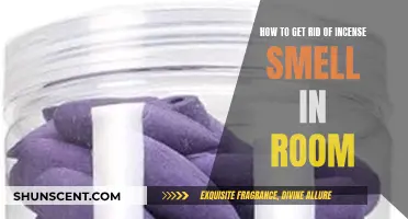 Incense Overload: Neutralizing Scents and Freshening Your Room