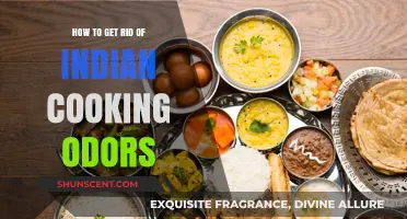Freshen Up Your Kitchen: Tips to Eliminate Indian Cooking Odors