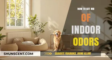 Freshen Up Your Space: A Guide to Eliminating Indoor Odors