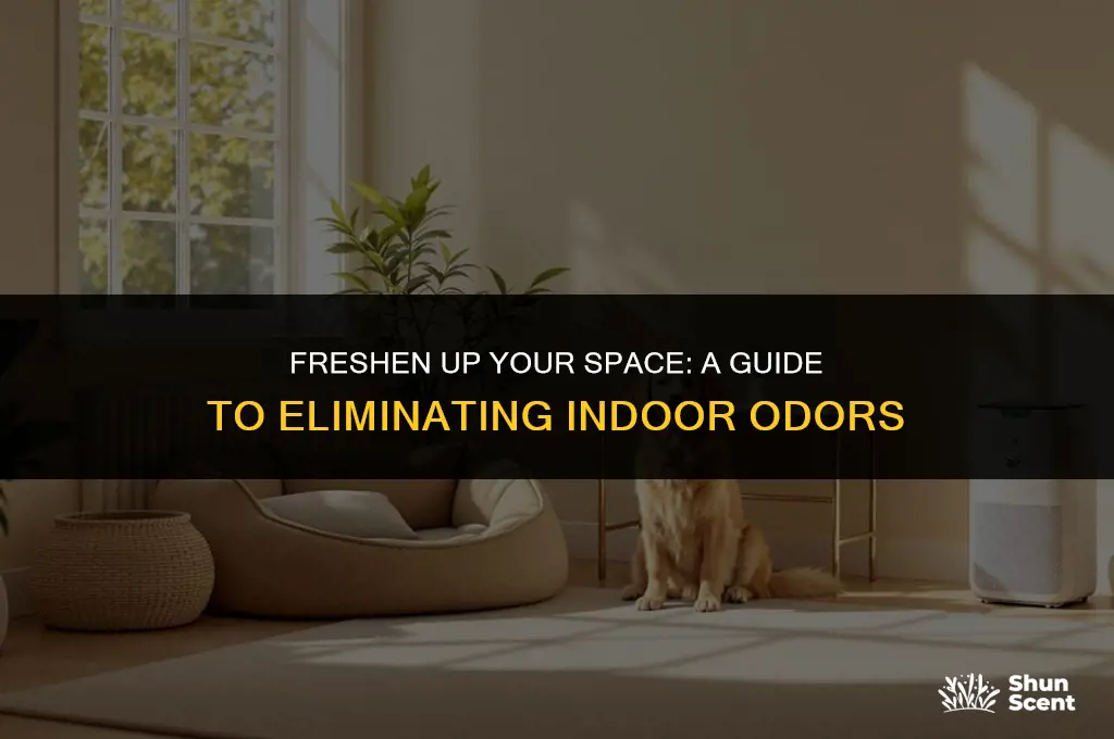 how to get rid of indoor odors