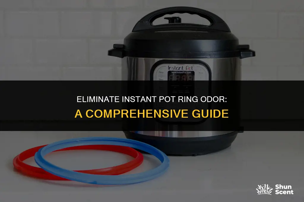 how to get rid of instant pot ring odor