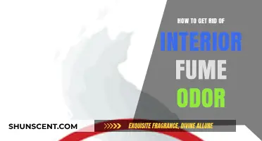 Freshen Up Your Space: A Guide to Eliminating Interior Fume Odors