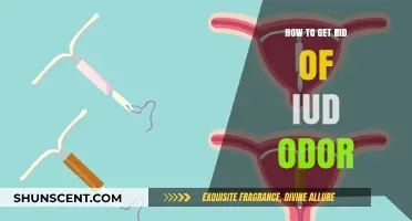 Fresh and Clean: A Guide to Eliminating IUD Odor