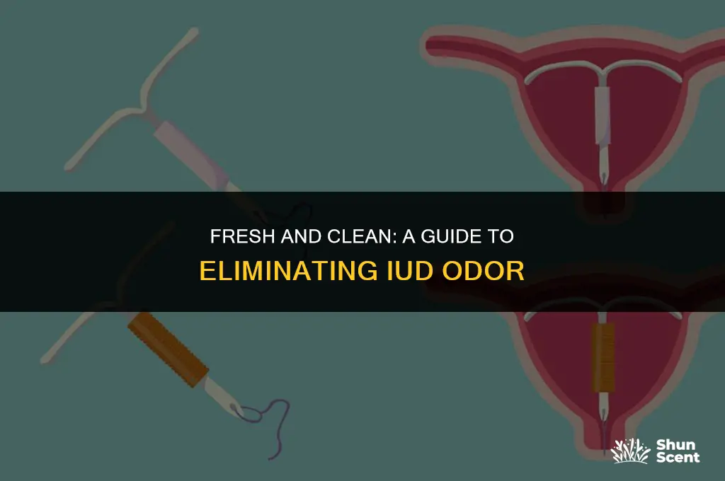 how to get rid of iud odor