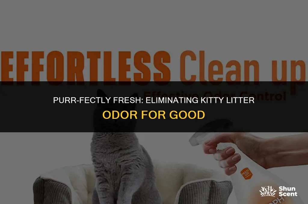 how to get rid of kitty litter odor