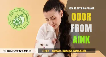 Freshen Up Your Space: Eliminating Persistent Lamb Odor from Ink