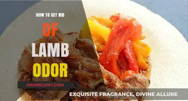 Freshen Up Your Space: Effective Ways to Eliminate Lamb Odor