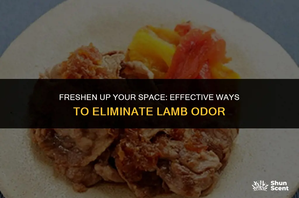 how to get rid of lamb odor