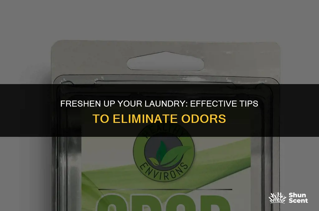 how to get rid of laundry odor