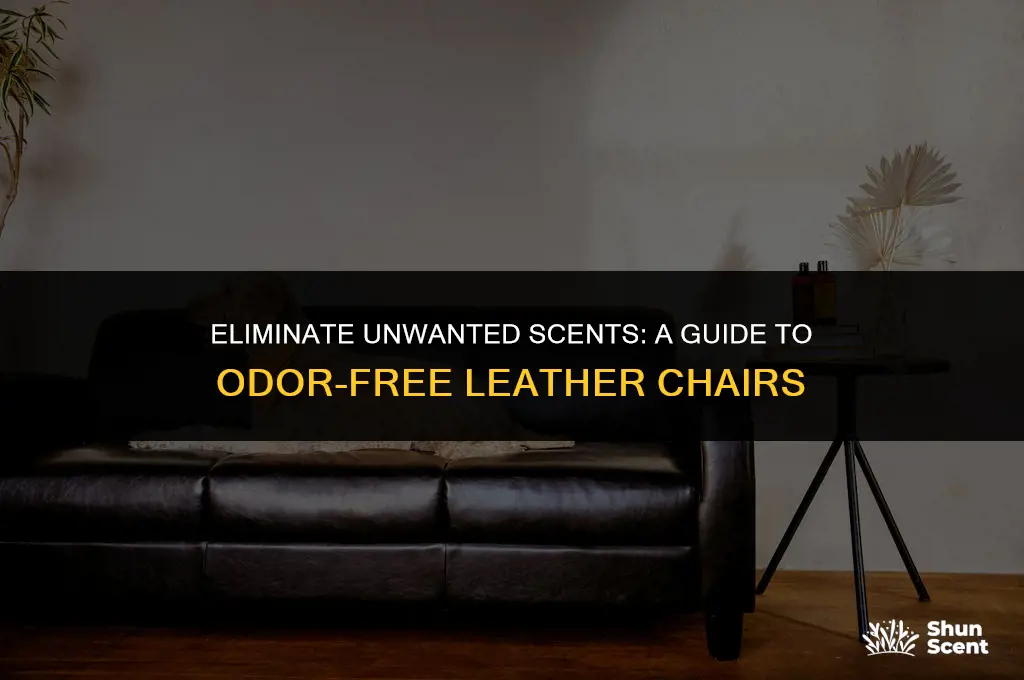 how to get rid of leather chair odor