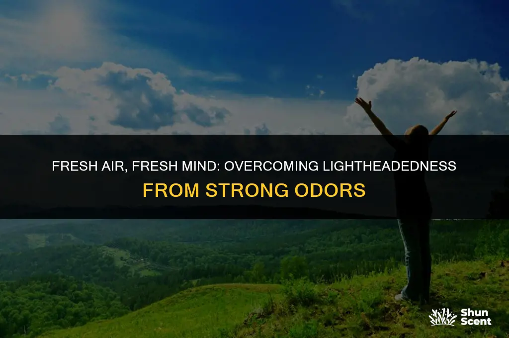 how to get rid of lightheadedness fom strong odors