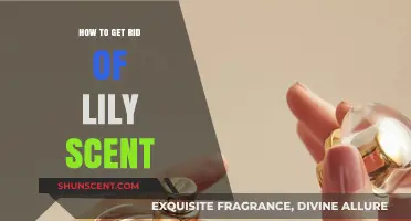 Eliminating Lily Fragrance: Quick Tips to Neutralize the Strong Scent