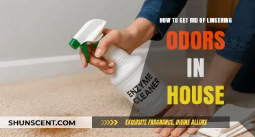 Freshen Up Your Home: A Guide to Eliminating Lingering Odors