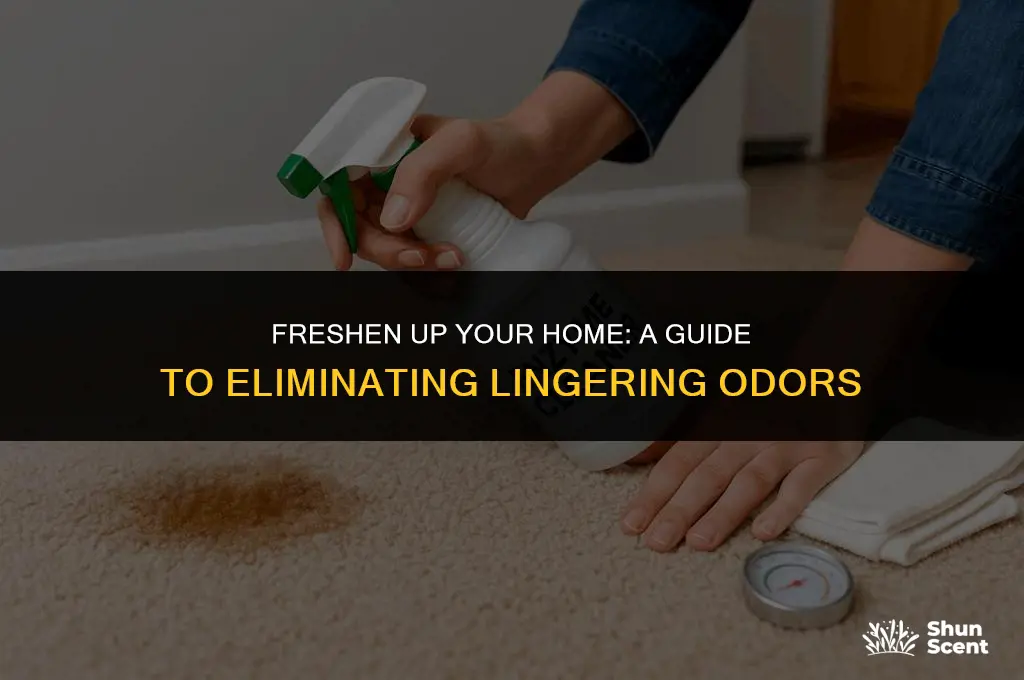 how to get rid of lingering odors in house