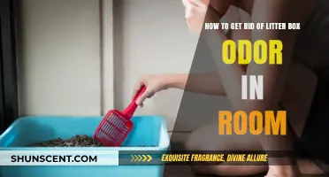 Freshen Up Your Space: A Guide to Eliminating Litter Box Odor
