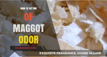 Eliminating Maggot Odor: A Comprehensive Guide for Freshness