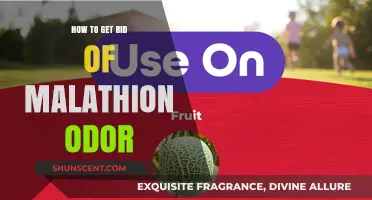 Eliminating Malathion Odor: A Comprehensive Guide for Effective Results