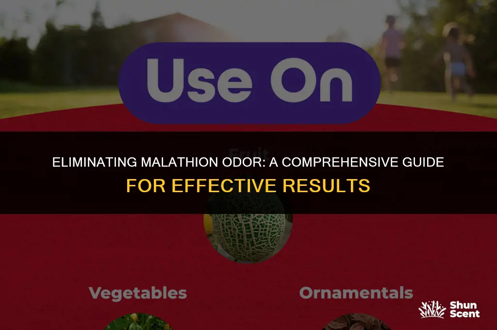 how to get rid of malathion odor