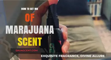 Effective Ways to Eliminate Marijuana Odor Quickly and Discreetly
